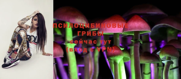 spice Строитель