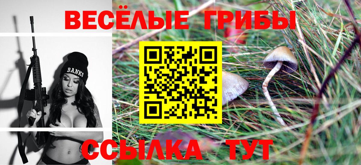 Галлюциногенные грибы Psilocybine cubensis  цена   Электросталь  Галлюциногенные грибы прущие грибы 