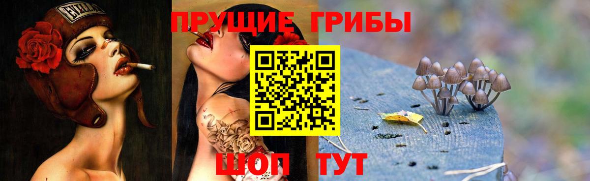 Псилоцибиновые грибы MAGIC MUSHROOMS  Вход с VPN  Галлюциногенные грибы Cubensis  Электросталь 